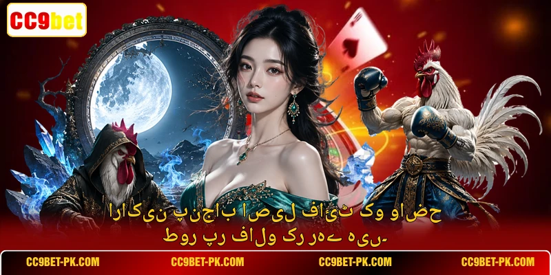 اراکین پنجاب اصیل فائٹ کو واضح طور پر فالو کر رہے ہیں۔