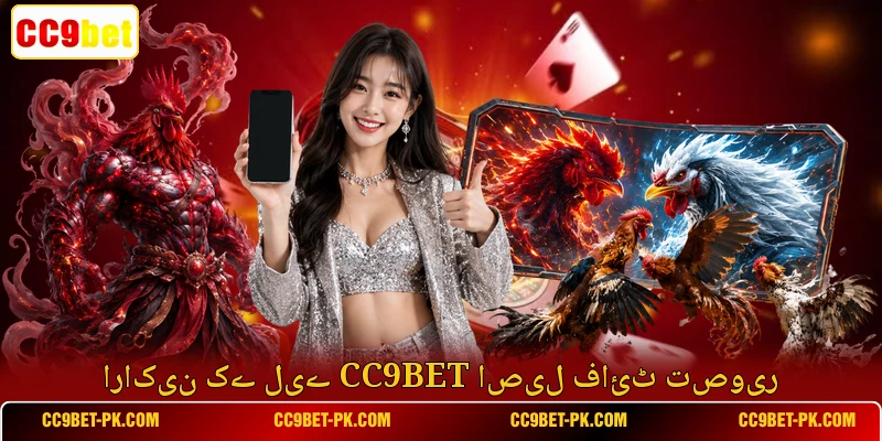 اراکین کے لیے CC9bet اصیل فائٹ تصویر