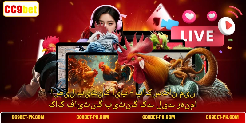 اصیل بیٹنگ ایپ - پاکستان میں کاک فائٹنگ بیٹنگ کے لیے رہنما