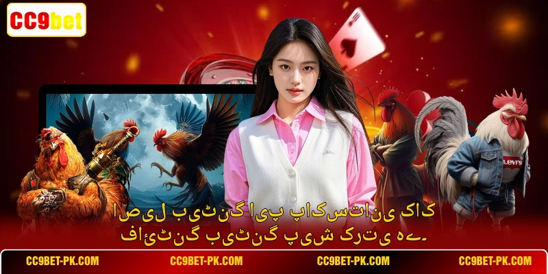 اصیل بیٹنگ ایپ پاکستانی کاک فائٹنگ بیٹنگ پیش کرتی ہے۔