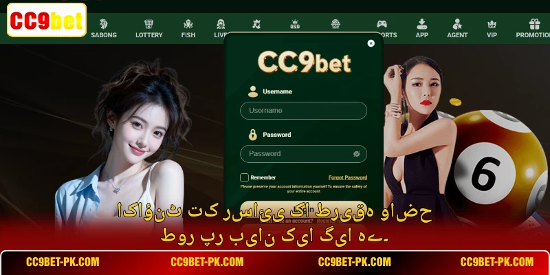 اکاؤنٹ تک رسائی کا طریقہ واضح طور پر بیان کیا گیا ہے۔