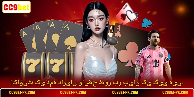 اکاؤنٹ کی ذمہ داریاں واضح طور پر بیان کی گئی ہیں۔