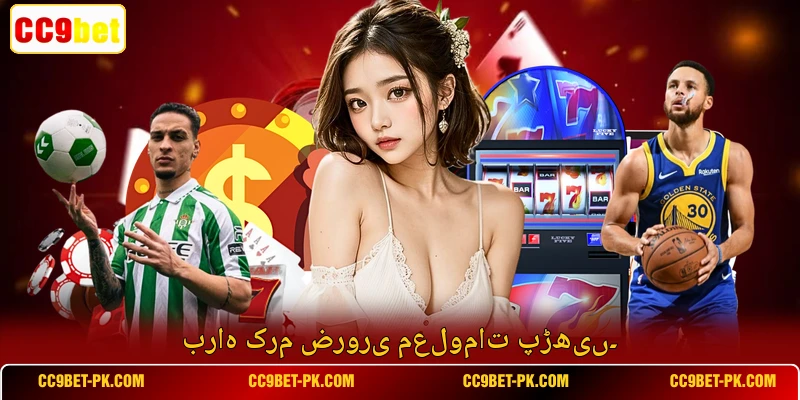 براہ کرم ضروری معلومات پڑھیں۔