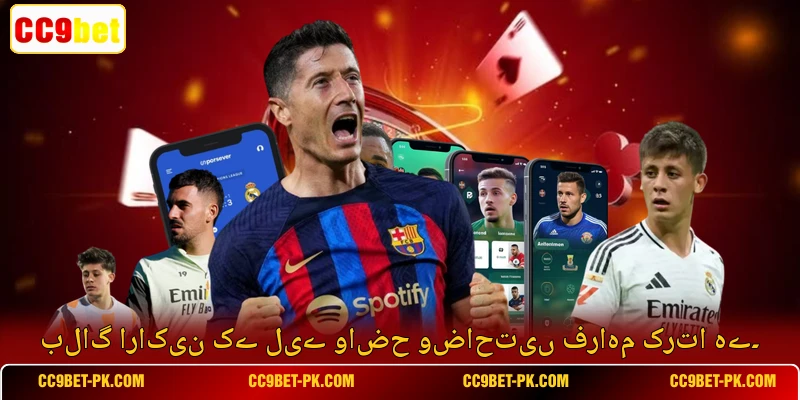 بلاگ اراکین کے لیے واضح وضاحتیں فراہم کرتا ہے۔