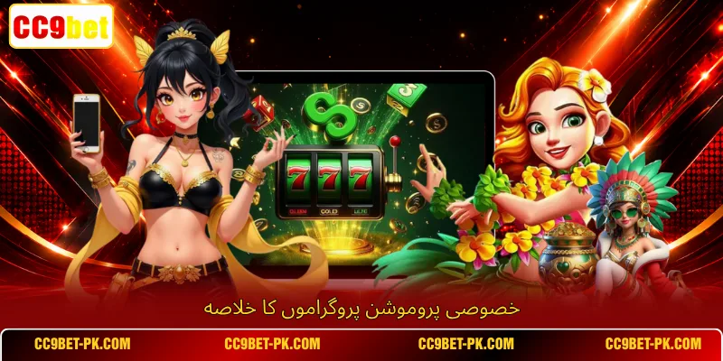 خصوصی پروموشن پروگراموں کا خلاصه