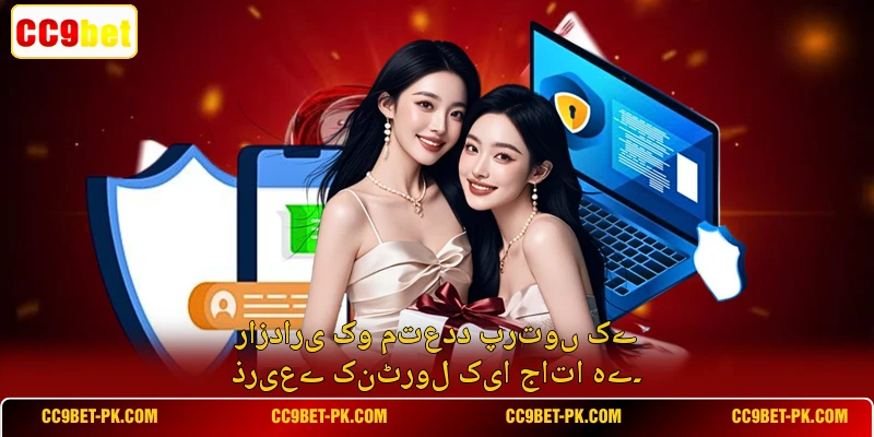 رازداری کو متعدد پرتوں کے ذریعے کنٹرول کیا جاتا ہے۔