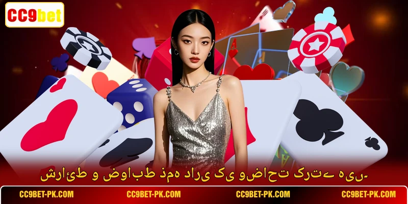شرائط و ضوابط ذمہ داری کی وضاحت کرتے ہیں۔