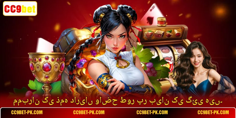 ممبران کی ذمہ داریاں واضح طور پر بیان کی گئی ہیں۔