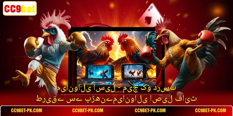 میانوالی اسیل - میچ کو درست طریقے سے پڑھنےمیانوالی اصیل فائٹ