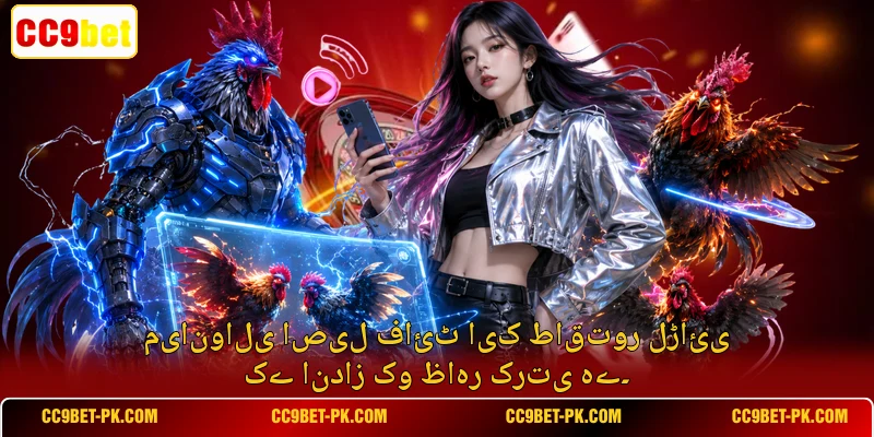 میانوالی اصیل فائٹ ایک طاقتور لڑائی کے انداز کو ظاہر کرتی ہے۔