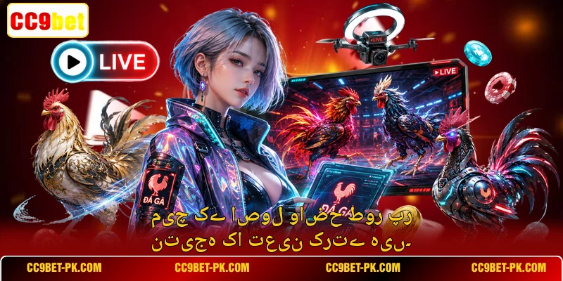 میچ کے اصول واضح طور پر نتیجہ کا تعین کرتے ہیں۔