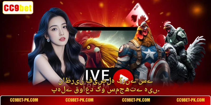ناظرین فیصلہ کرنے سے پہلے قواعد کو سمجھتے ہیں۔
