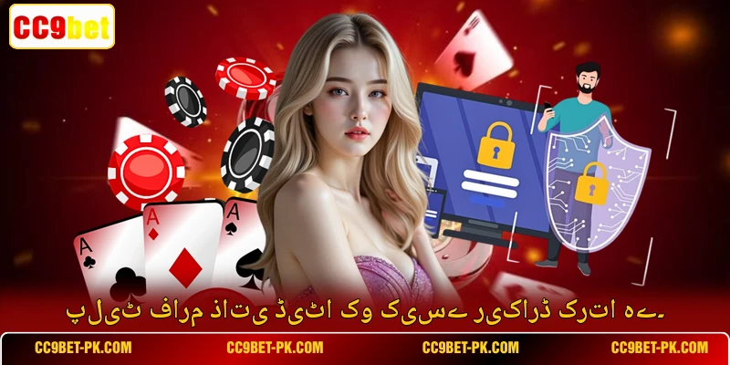 پلیٹ فارم ذاتی ڈیٹا کو کیسے ریکارڈ کرتا ہے۔