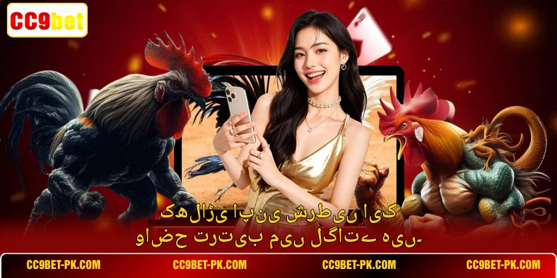کھلاڑی اپنی شرطیں ایک واضح ترتیب میں لگاتے ہیں۔