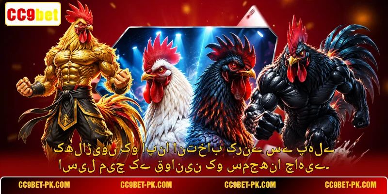 کھلاڑیوں کو اپنا انتخاب کرنے سے پہلے اسیل میچ کے قوانین کو سمجھنا چاہیے۔